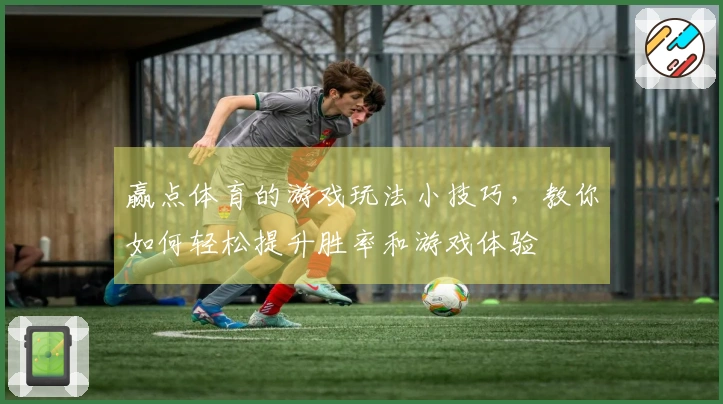 赢点体育的游戏玩法小技巧，教你如何轻松提升胜率和游戏体验