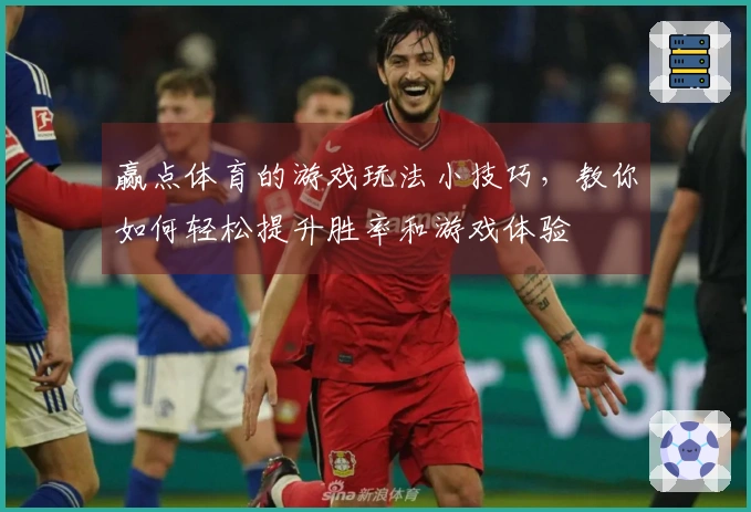 赢点体育的游戏玩法小技巧，教你如何轻松提升胜率和游戏体验